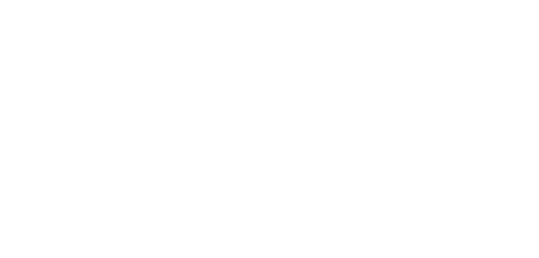 Twu_Western_Youth_Summit_Logo_Reverse_RGB_1080px@72ppi